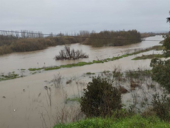 Río Tajo a su paso por Talavera de la Reina.
