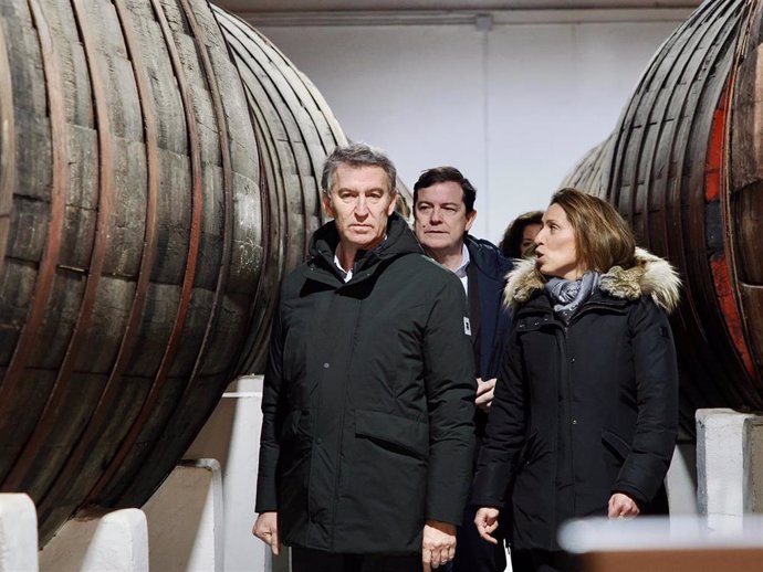 El presidente del Partido Popular, Alberto Núñez Feijóo, y el presidente de la Junta de Castilla y León y del PP regional, Alfonso Mañueco, visitan las Bodegas Hijos de Alberto Gutierrez, en Serrada (Valladolid).