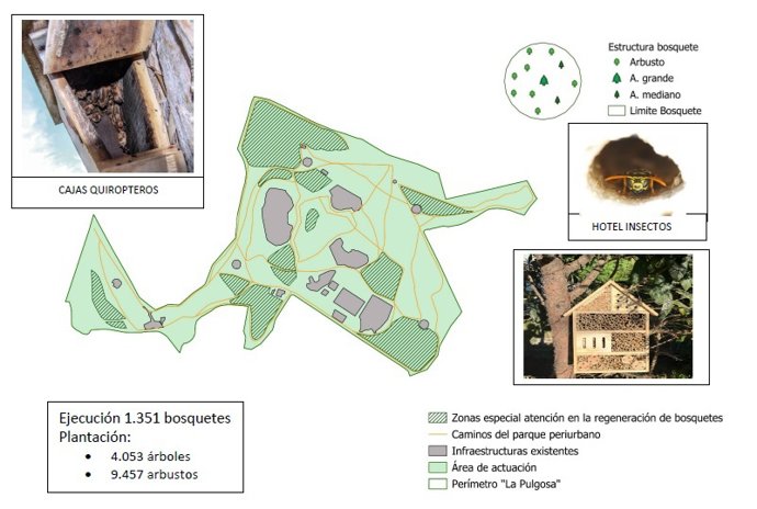 Proyecto para renaturalizar La Pulgosa.