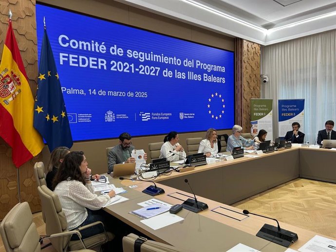 Comité de seguimiento de los Fondos Feder.