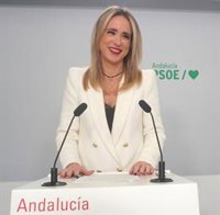 PSOE-A exige la "dimisión" de la consejera de Educación "si no rectifica" unas declaraciones sobre niños con necesidades