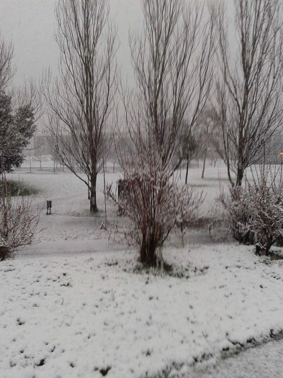 Archivo - Nieve en Bizkaia