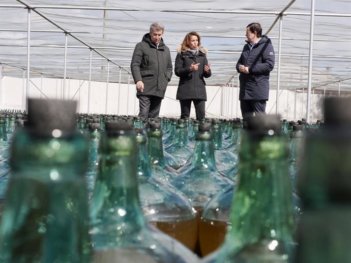 El presidente del Partido Popular, Alberto Núñez Feijóo, y el presidente de la Junta de Castilla y León y del PP regional, Alfonso Mañueco, visitan las Bodegas Hijos de Alberto Gutierrez, en Serrada (Valladolid).