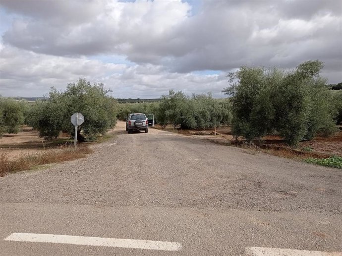 Un camino de la Campiña Sur.