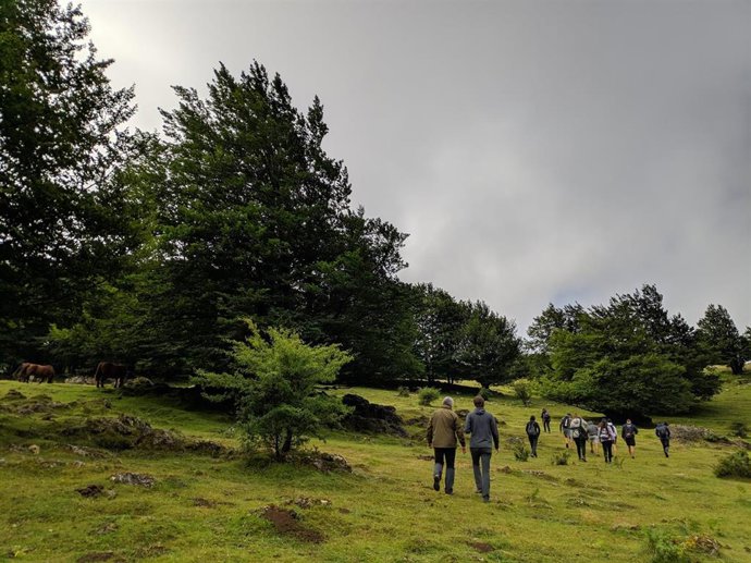 Imagen del Parque Natural de Urbasa-Andia.