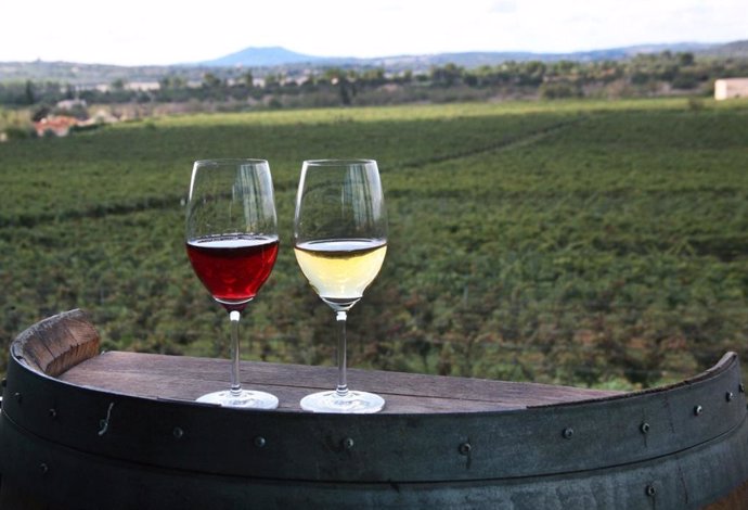 Archivo - Una copa de vino tinto y otra de vino blanco frente a un viñedo.