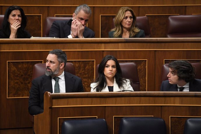 Archivo - (Fila abajo I-D) El presidente de Vox, Santiago Abascal; la portavoz de VOX en el Congreso, Pepa Millán y el diputado de VOX José María Figaredo durante una sesión plenaria, en el Congreso de los Diputados, a 29 de febrero de 2024, en Madrid (Es