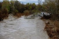 El caudal del Tajo en Talavera comienza a descender pero sigue la alerta por las lluvias de la próxima semana
