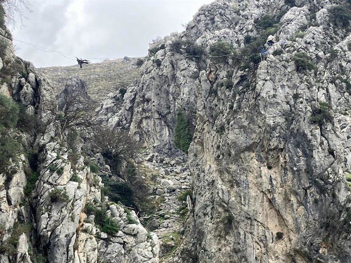 Actividad de tirolina.