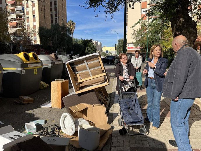 La viceportavoz socialista en el Ayuntamiento de Málaga, Begoña Medina