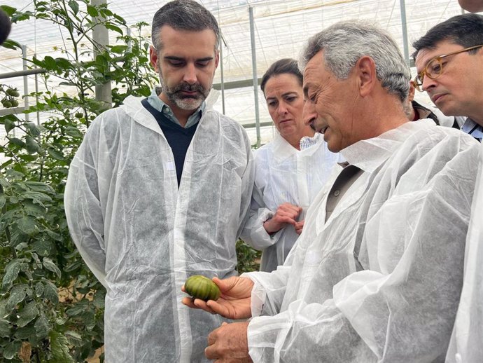 Visita del consejero de Agricultura, Pesca, Agua y Desarrollo Rural, Ramón Fernández-Pacheco, a un invernadero de tomate 'premium' en Almería.