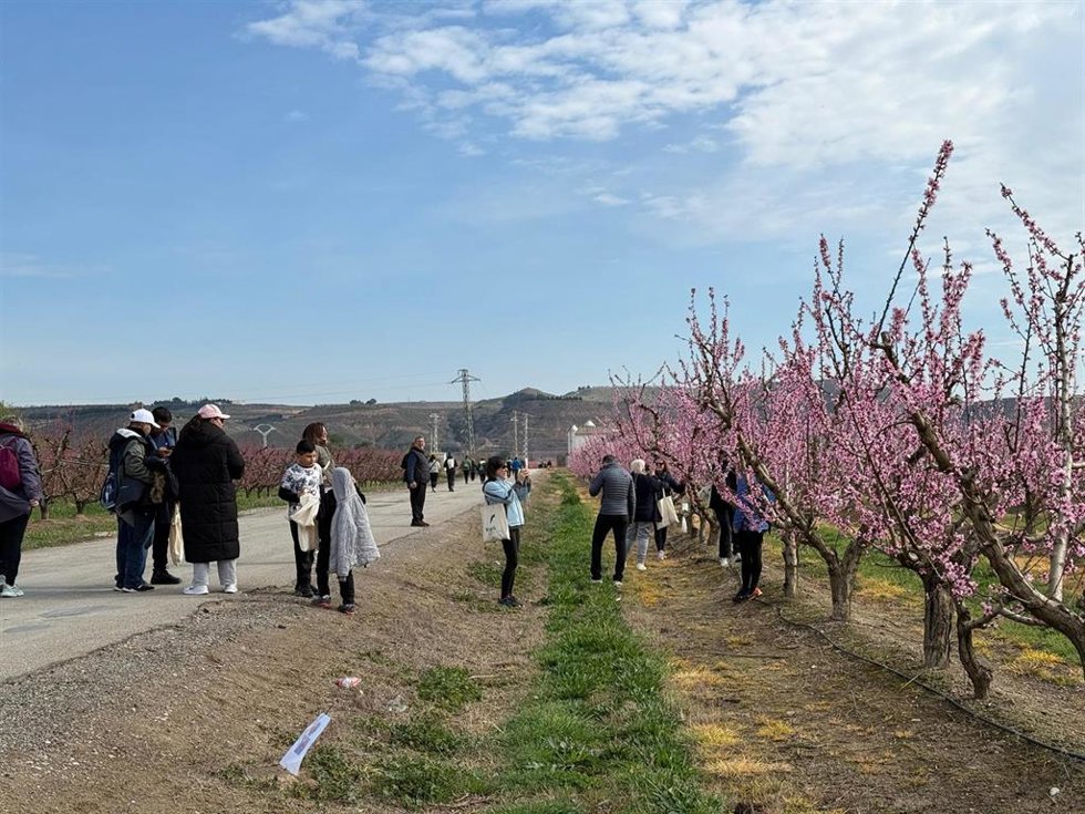 Un grupo de personas se fotografía frente a un campo de almendros en flor en la VII La VIII Ruta de la Floración de Fraga (Huesca) este domingo 16 de marzo de 2025.