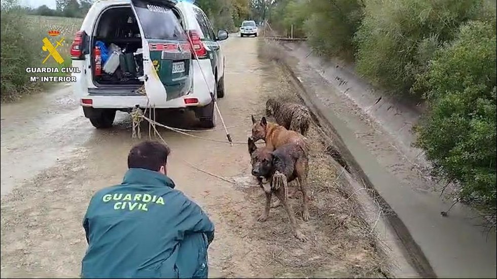 Agentes del Seprona, con los tres perros rescatados de una acequia en Dos Hermanas.