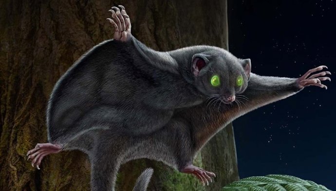 El nombre de la especie Arboroharamiya fuscus hace referencia a su coloración oscura.