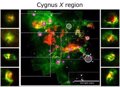 La Inteligencia Artificial revela burbujas ocultas en el universo