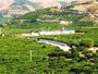El acuífero que alimenta el cultivo de las subtropicales en Granada se recupera 