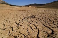 El 80% de los españoles piensa que existen muchos bulos ambientales, según Ecoembes