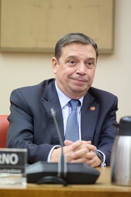 El ministro de Agricultura, Pesca y Alimentación, Luis Planas.