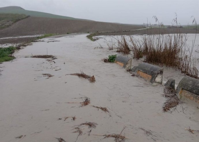 Imagen de la carretera provincial CO-3204, entre Córdoba y Castro del Río, cortada al tráfico al estar anegada por el agua.
