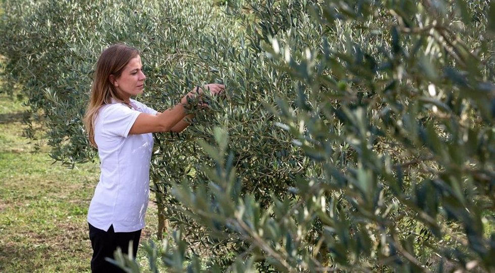 BBVA lanza la VI edición de los Premios a los Mejores Productores Sostenibles