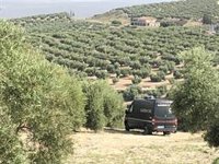 Detenido el empresario agrícola para el que trabajó el temporero desaparecido en Villacarrillo (Jaén) en 2021