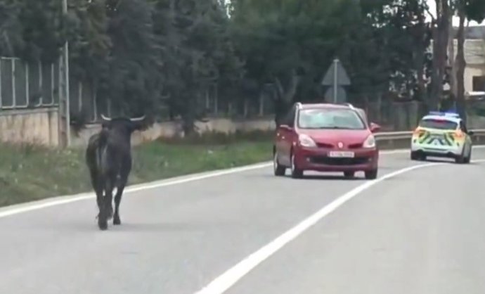 Vídeo de la noticia