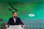 Los presupuestos de Valencia eliminan subvenciones a ONG e incluyen partidas para retornar a menores, según Vox