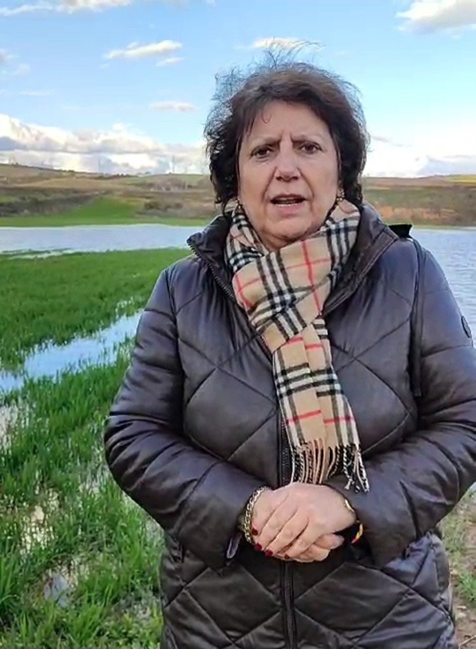 La diputada provincial del PP en el Diputación de Guadalajara, Concha Casado.