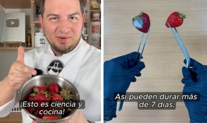 Captura de tela de um vídeo do TikTok do usuário @soycienciaycocina