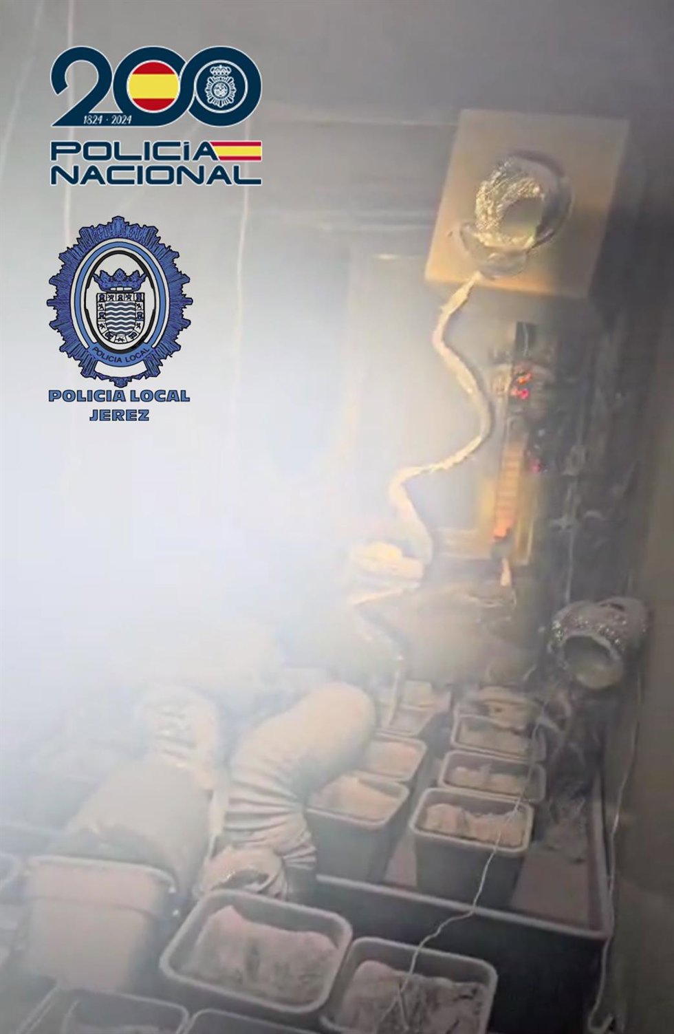 Tendido eléctrico siniestrado en el incendio de la vivienda de Jerez convertida en una plantación de marihuana.