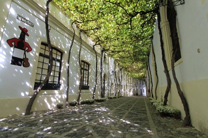 Calle de la bodega Tío Pepe González Byass