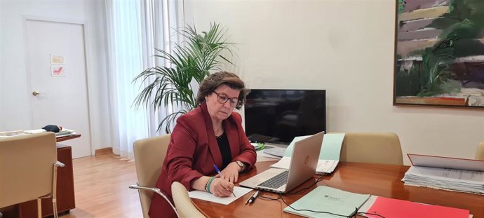 Catalina Cirer, durante la reunión telemática.