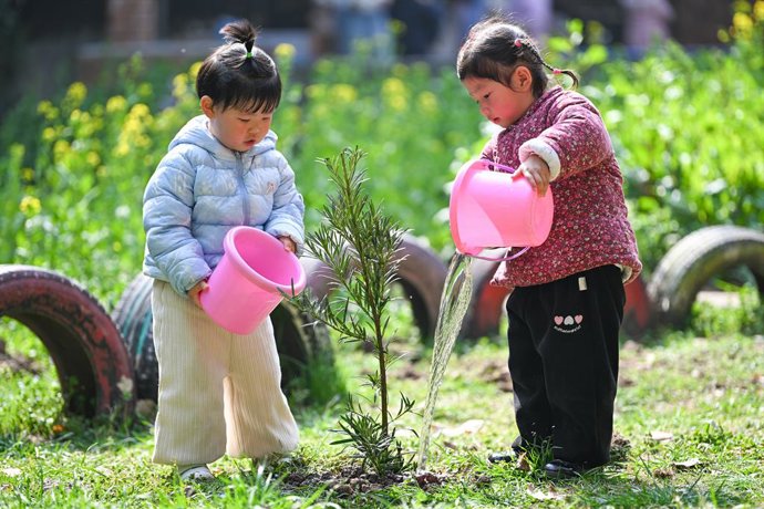PEQUIM, 12 de março de 2025 -- Crianças regam mudas em um jardim de infância antes do Dia Nacional de Plantio de Árvores, que ocorre em 12 de março em Nanjing, província de Jiangsu, no leste da China, em 11 de março de 2025.