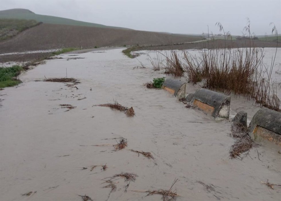 Imagen de la carretera provincial CO-3204, entre Córdoba y Castro del Río, cortada al tráfico al estar anegada por el agua.