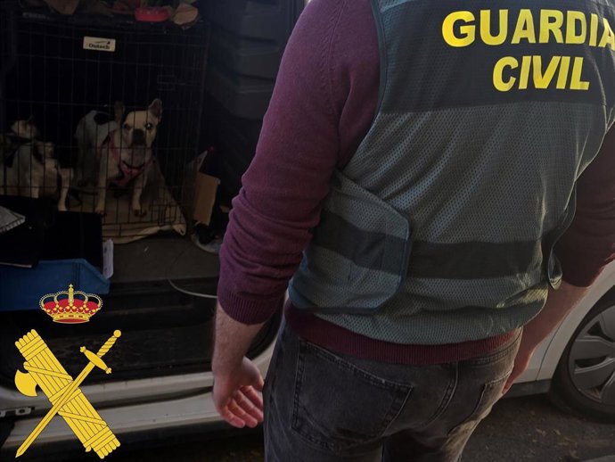 Operación 'Cobaka' contra la cría y venta ilegal de animales en Roquetas de Mar (Almería).