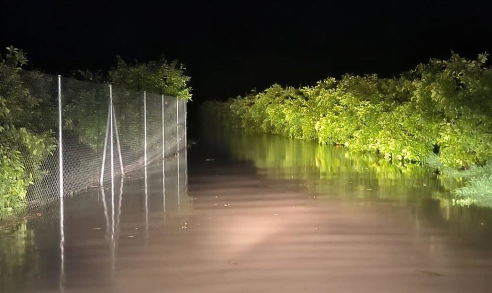 Zona de huertas ribereñas inundadas en Palma del Río.