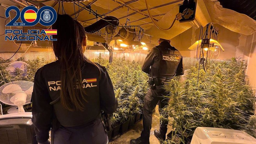 Agentes de Policía en el interior de la plantación de marihuana desmantelada en Almendralejo.