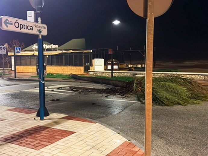 Efectos del fuerte viento y la lluvia en Torremolinos
