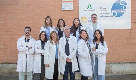 Asistencia