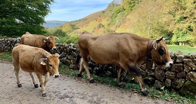 Cantabria