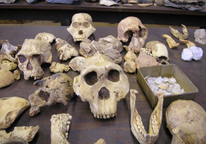 Yacimientos de homínidos fósiles de Sudáfrica