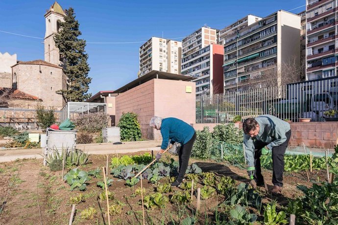 Dos personas cultivan en un huerto urbano de la ciudad
