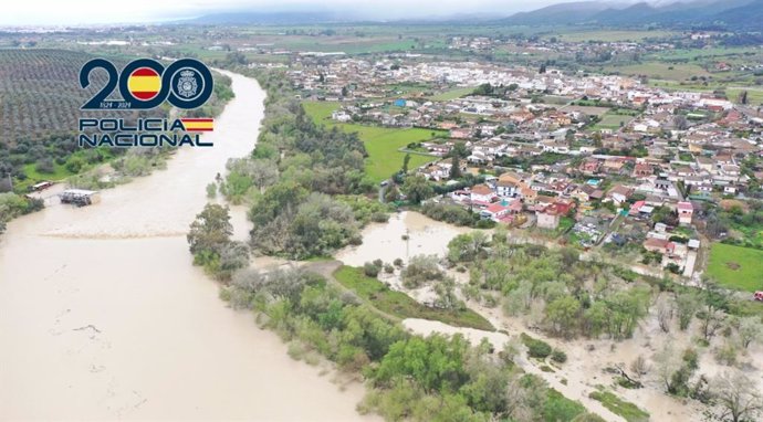 Parcelas inundadas por la crecida del Guadalquivir.