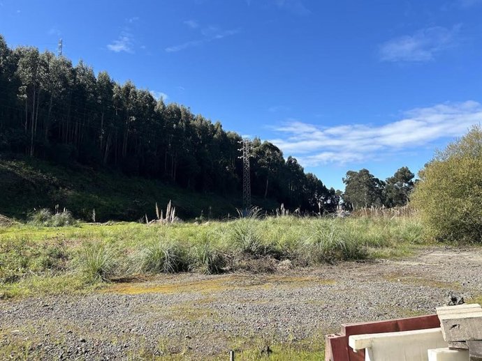 Finca de Puerto de Avilés