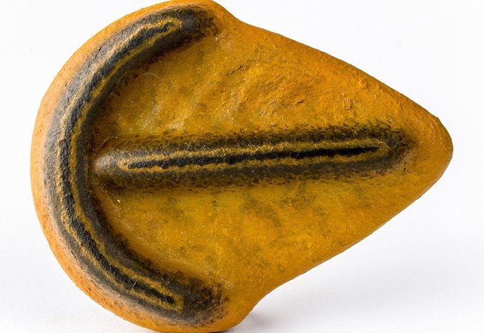 Recreación de la Parvancorina minchami australiana en el MUSE, Museo de Ciencias de Trento, Italia.