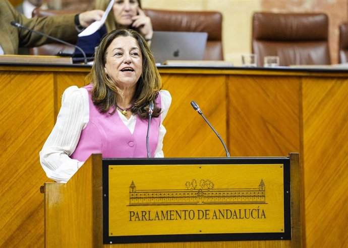 La consejera de Desarrollo Educativo y Formación Profesional, María del Carmen Castillo, en el Pleno del Parlamento andaluz. (Foto de archivo).