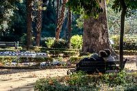 Reapertura de parques públicos este miércoles en Sevilla capital salvo Guadaíra y Vega de Triana por cercanía a cauces