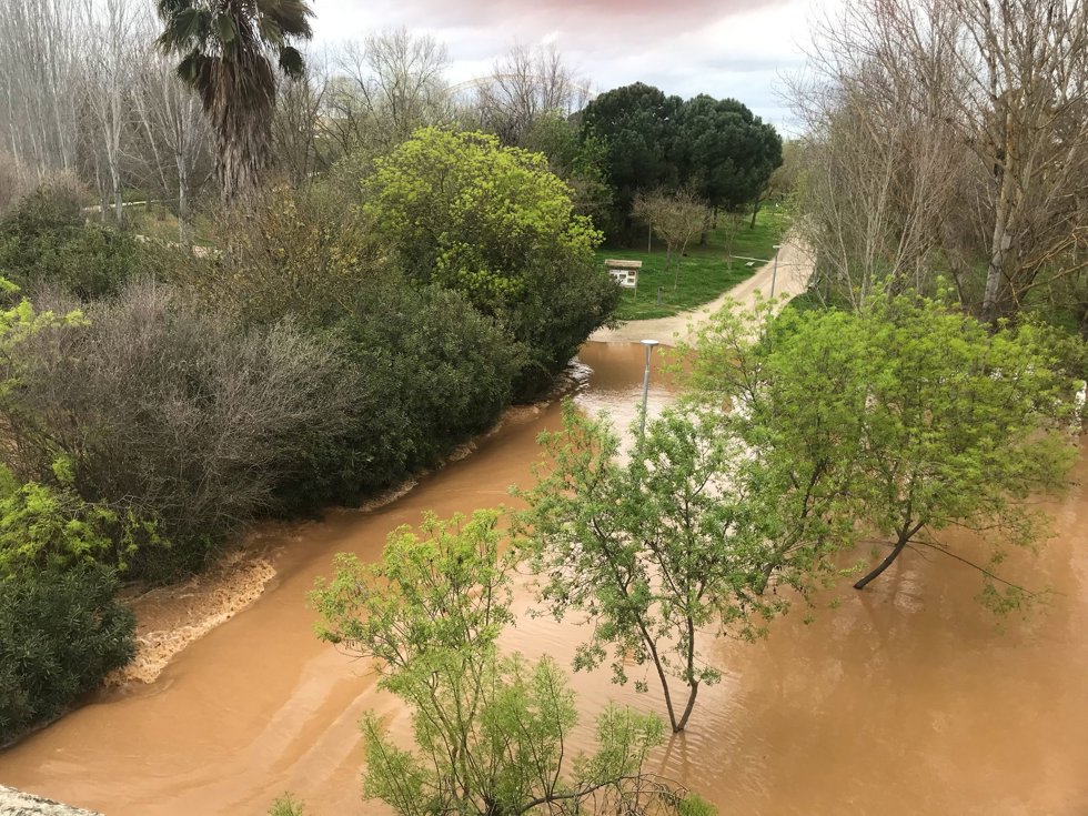 El Guadiana salta por encima de los caminos de la Isla de Mérida.