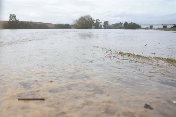 Archivo - Arquivo - O rio Guadiana ao passar pela SE-40, em 31 de outubro de 2024, em Sevilha (Andaluzia, Espanha). A tempestade de chuva e as condições climáticas adversas que têm assolado a Andaluzia desde segunda-feira acrescentaram mais uma centena de