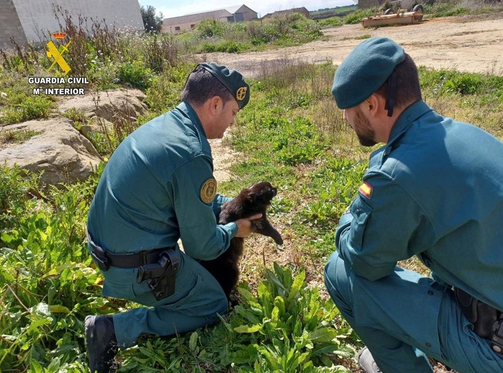 Agentes del SEPRONA de la Guardia Civil con el gato muerto.